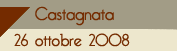 Castagnata e mercatino delle pulci 2008